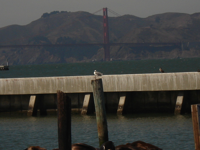 gal/2007 California/picture_020.jpg